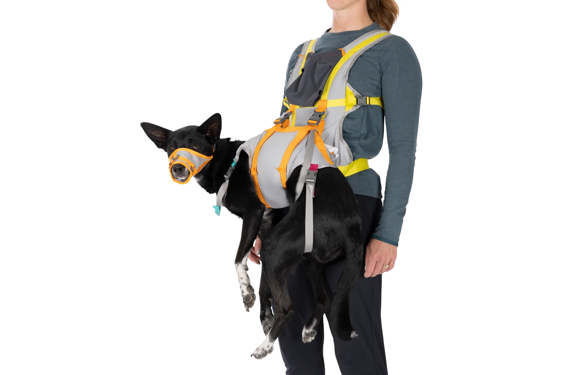 BackTrak™ Dog Evacuation Kit