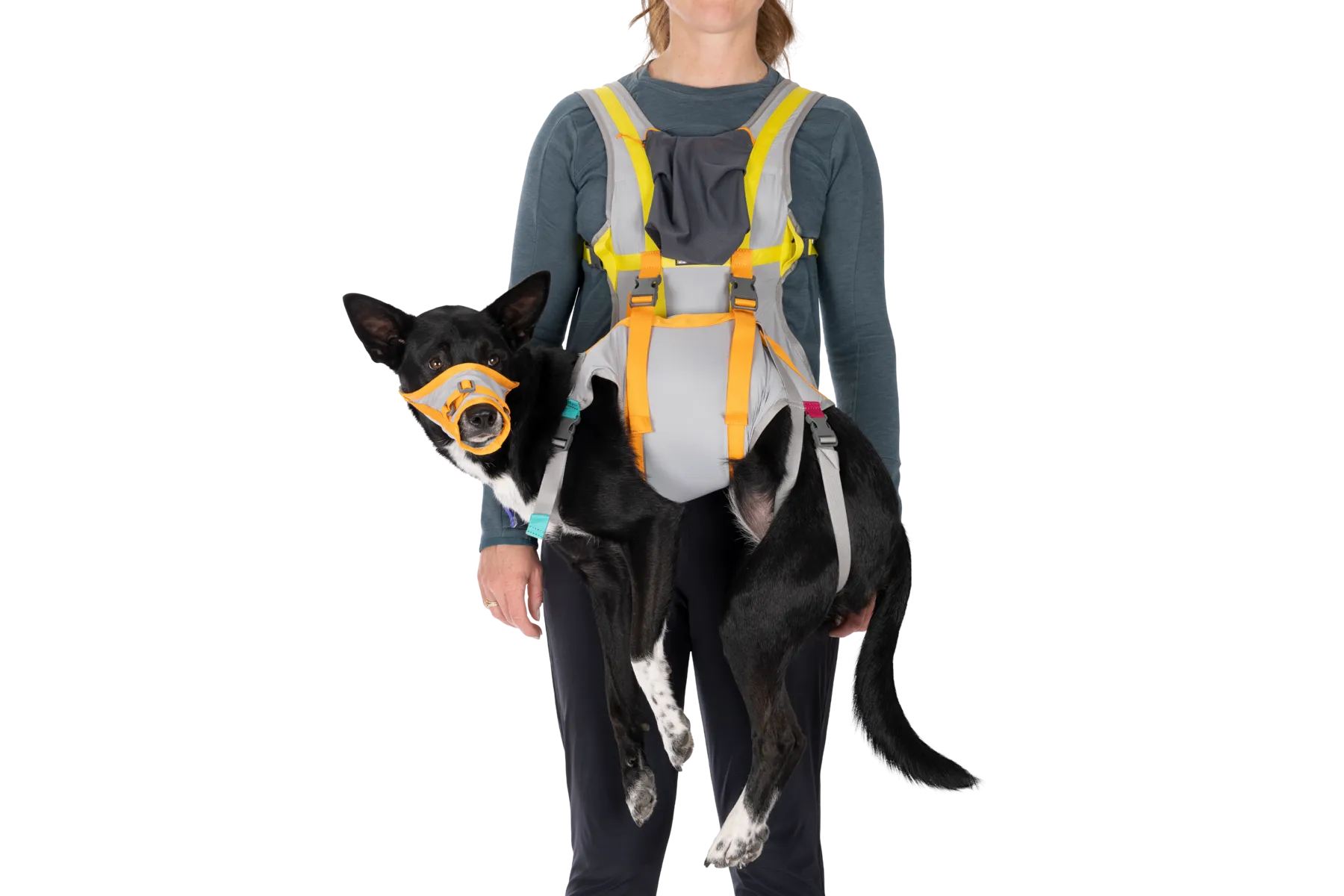 BackTrak™ Dog Evacuation Kit