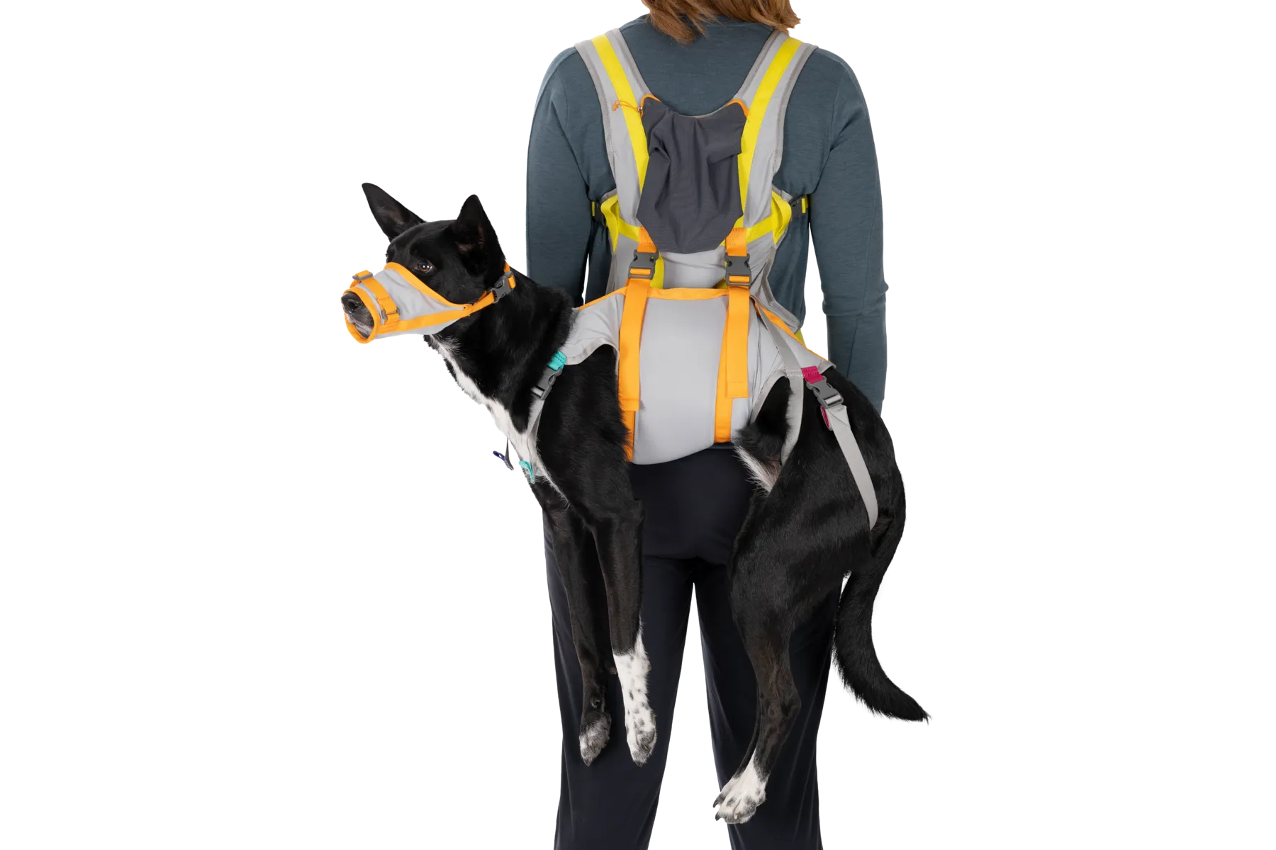 BackTrak™ Dog Evacuation Kit