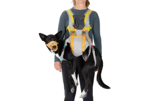 BackTrak™ Dog Evacuation Kit