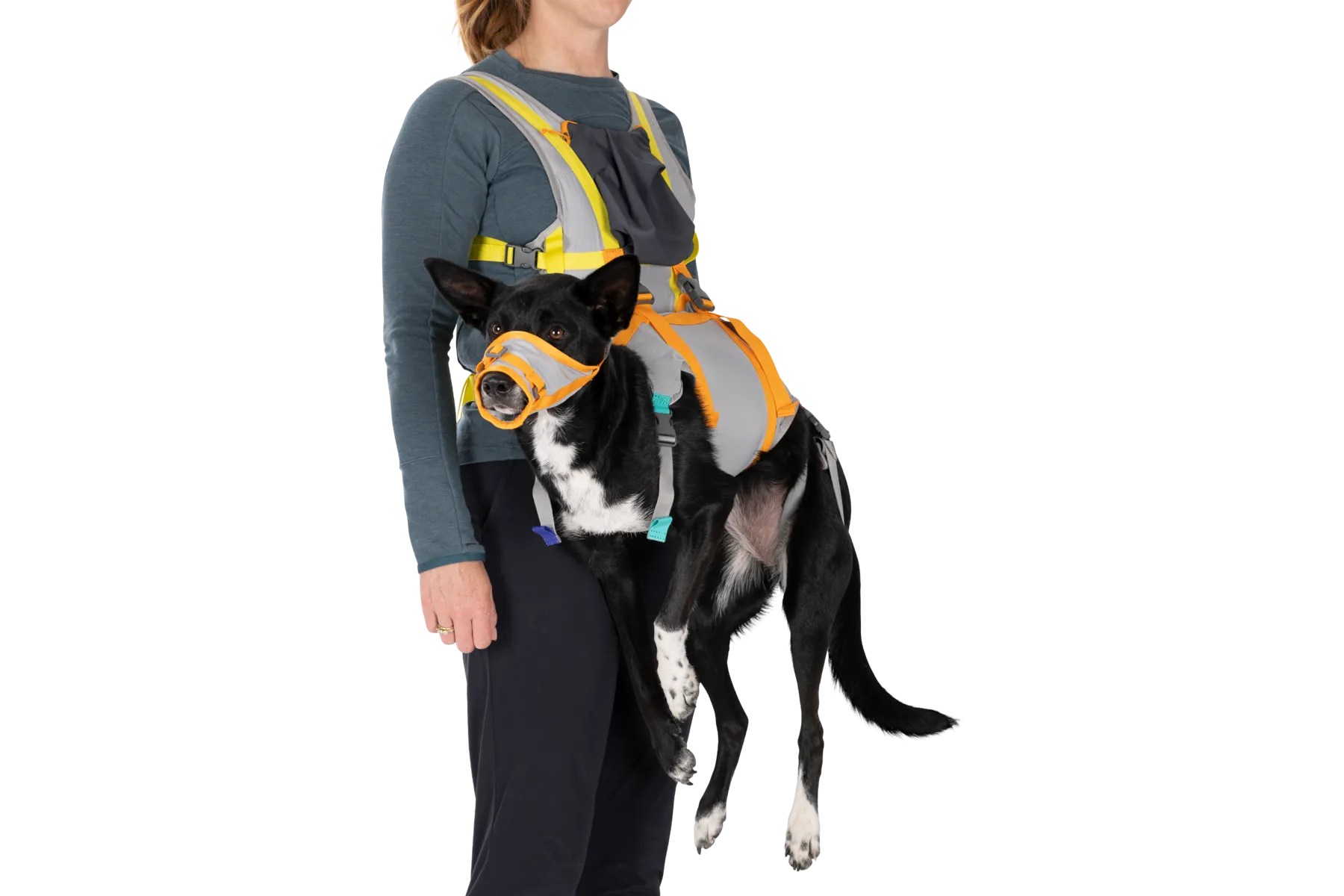 BackTrak™ Dog Evacuation Kit