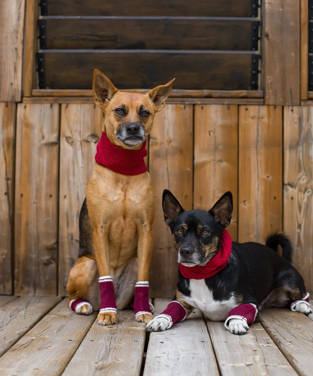 Dog Leg Warmers - Red