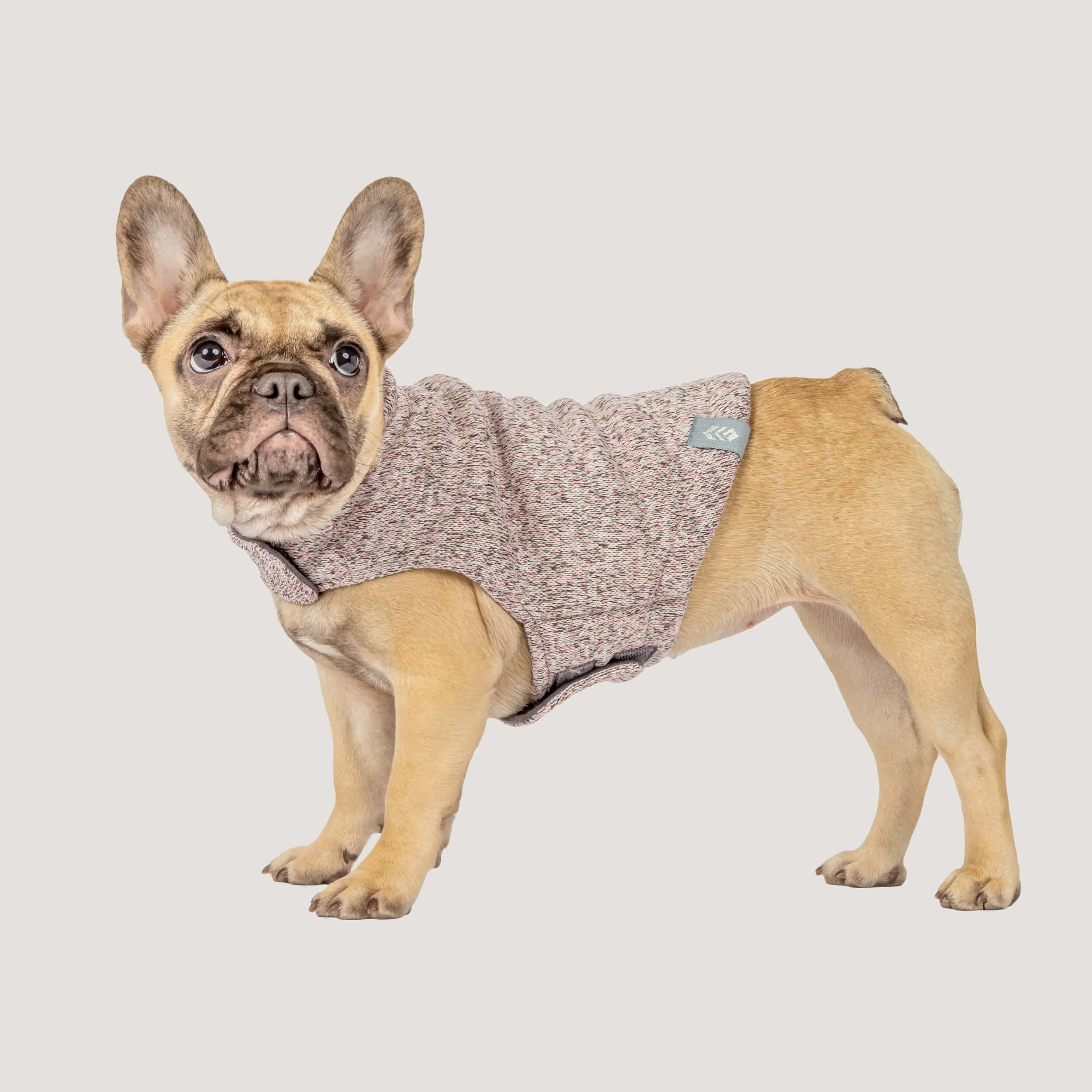 Dog Mountain Fleece Jacket