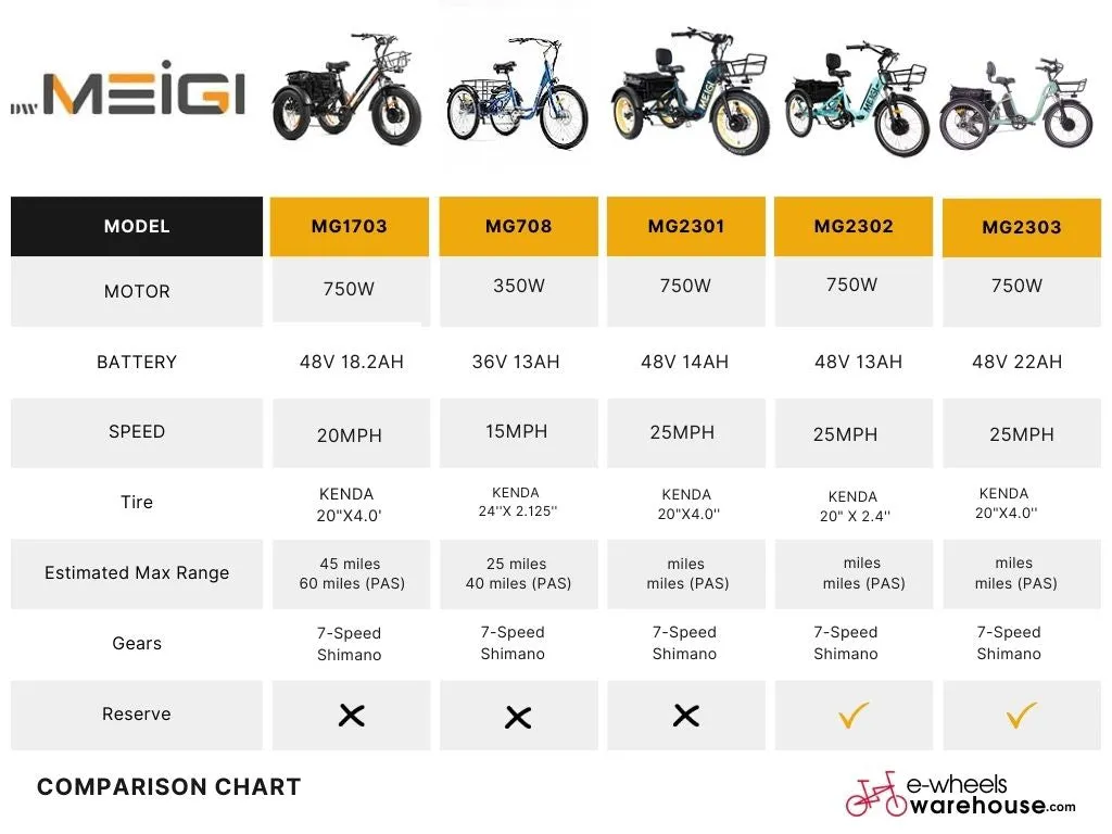 DWMEIGI MG2303 Blazer Full Suspension Electric Trike