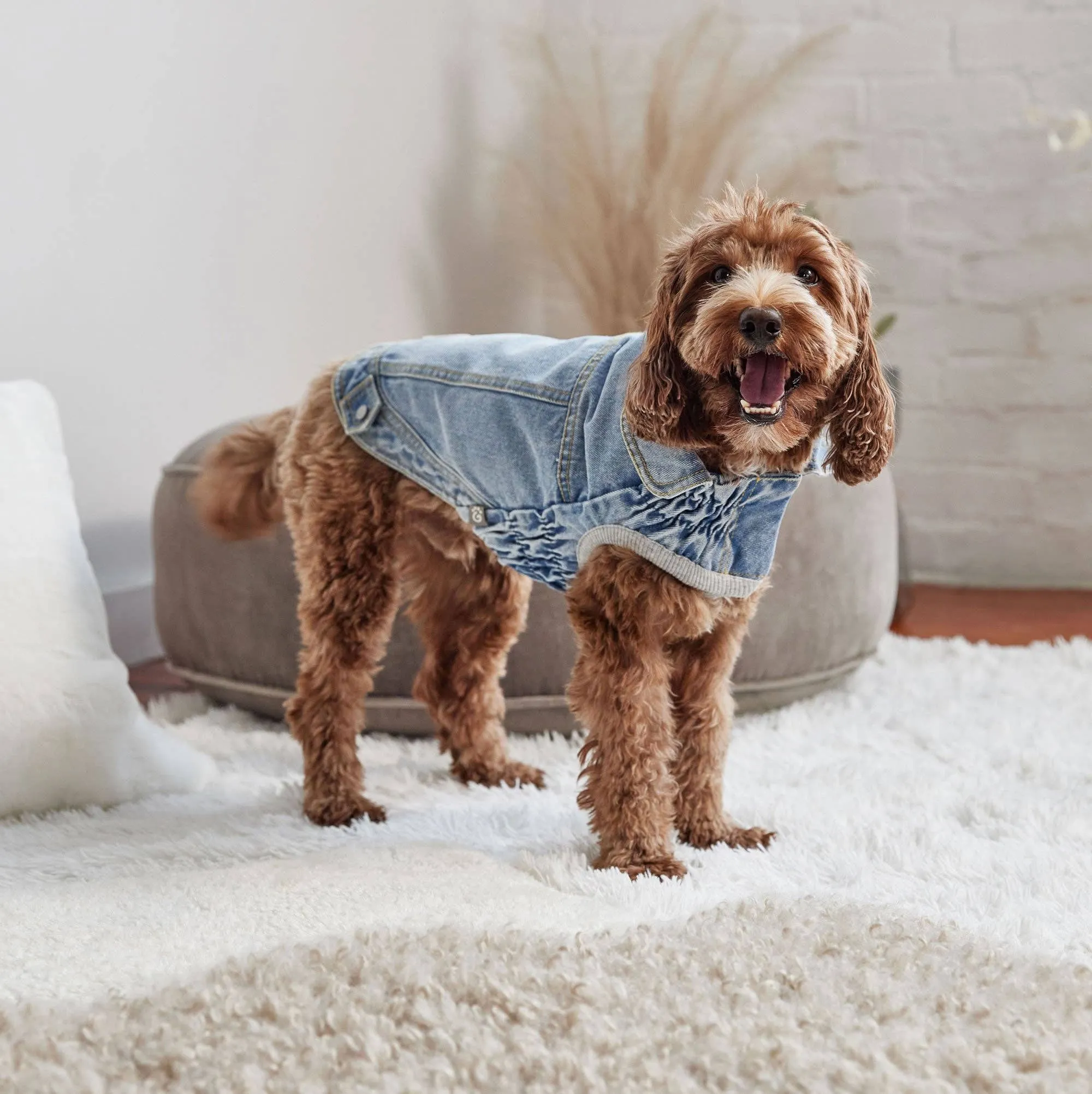 GF Pet Denim Jacket