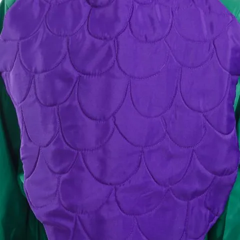 Grapes Green Cap and Purple Grapes Shape Cutout