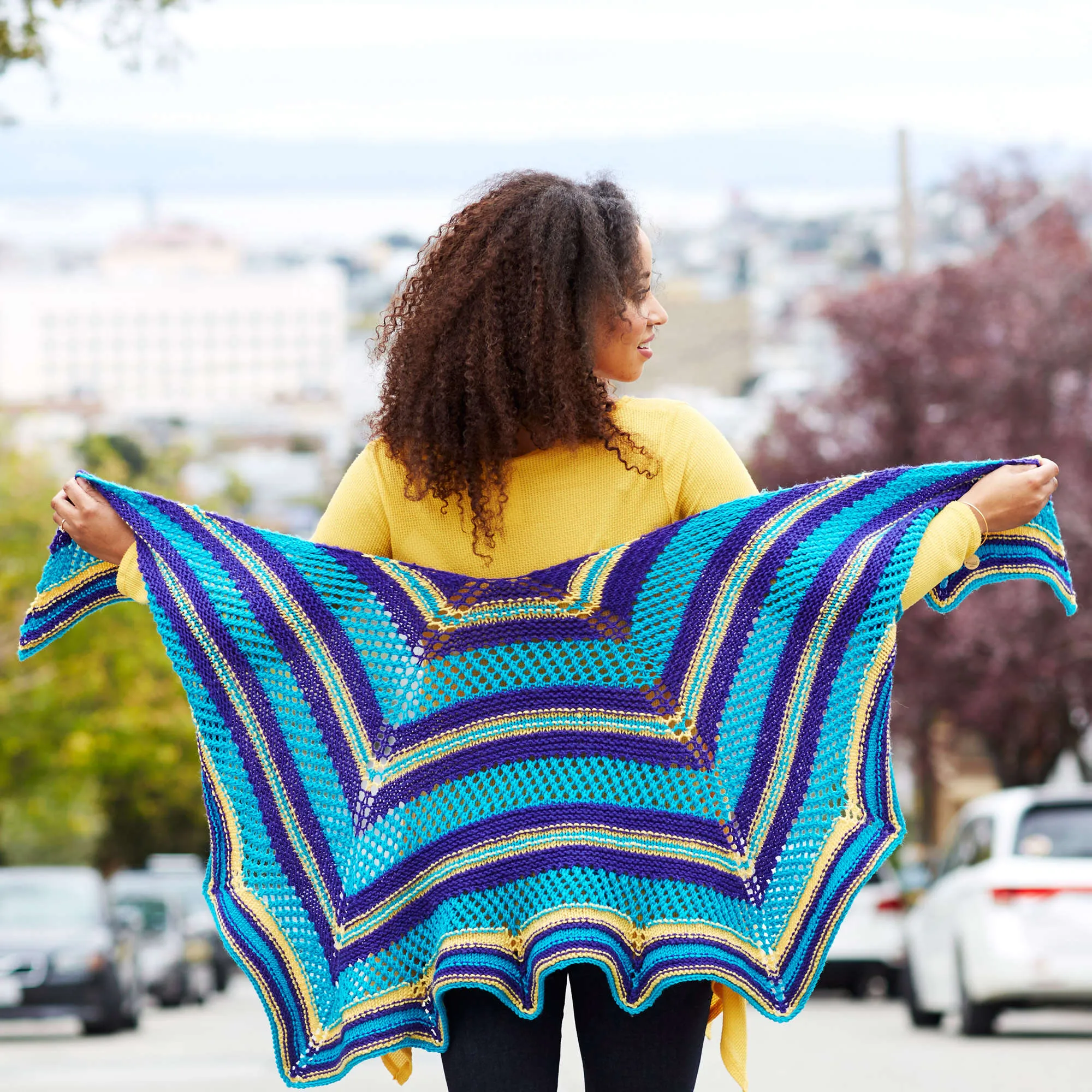 Red Heart Knit Outside The Chic Box Shawl