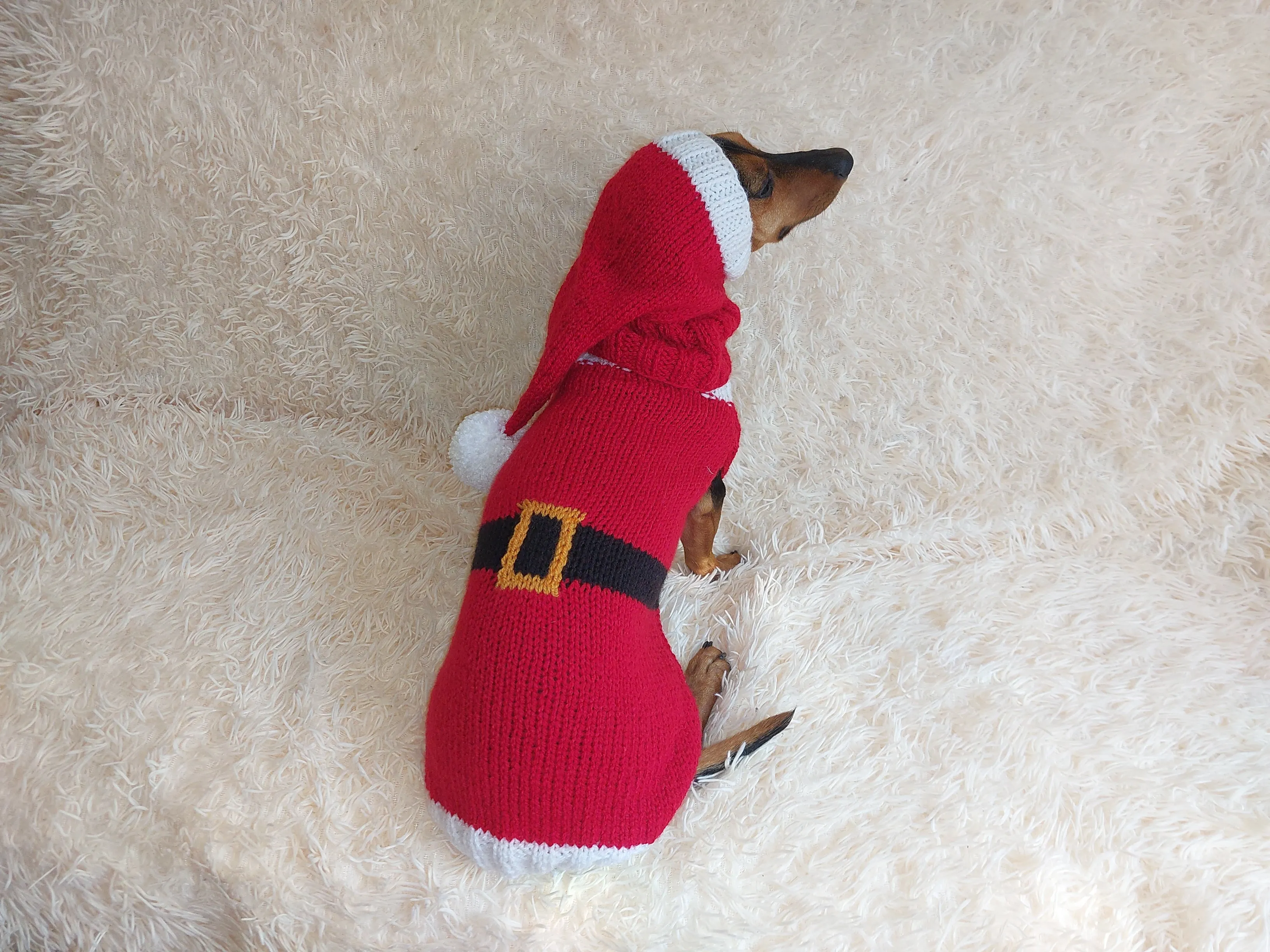 Santa costume for dachshunds, christmas dachshund santa costume hat and sweater